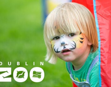 Dublin Zoo Activities