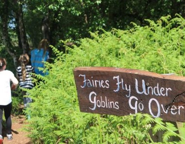 Causey Farm - 10% off